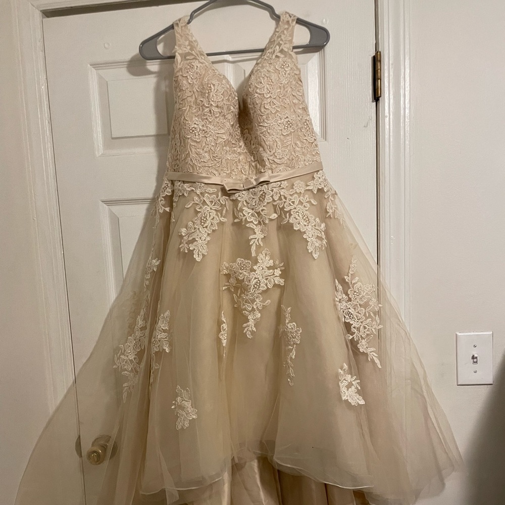 Champagne Wedding Dress/Party Dress